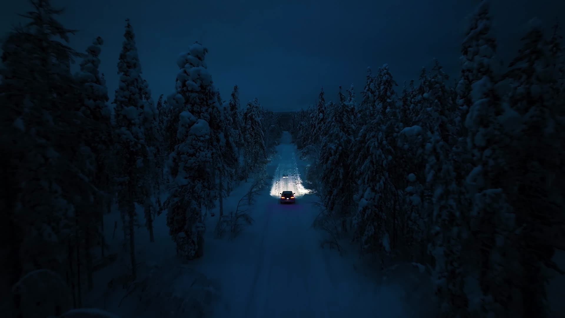冬季夜晚汽车森林荒野行驶航拍视频的预览图