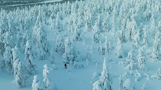 徒步穿越冬季森林大雪航拍视频的预览图