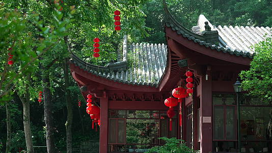 春天杭州寺院古建筑自然唯美视频的预览图