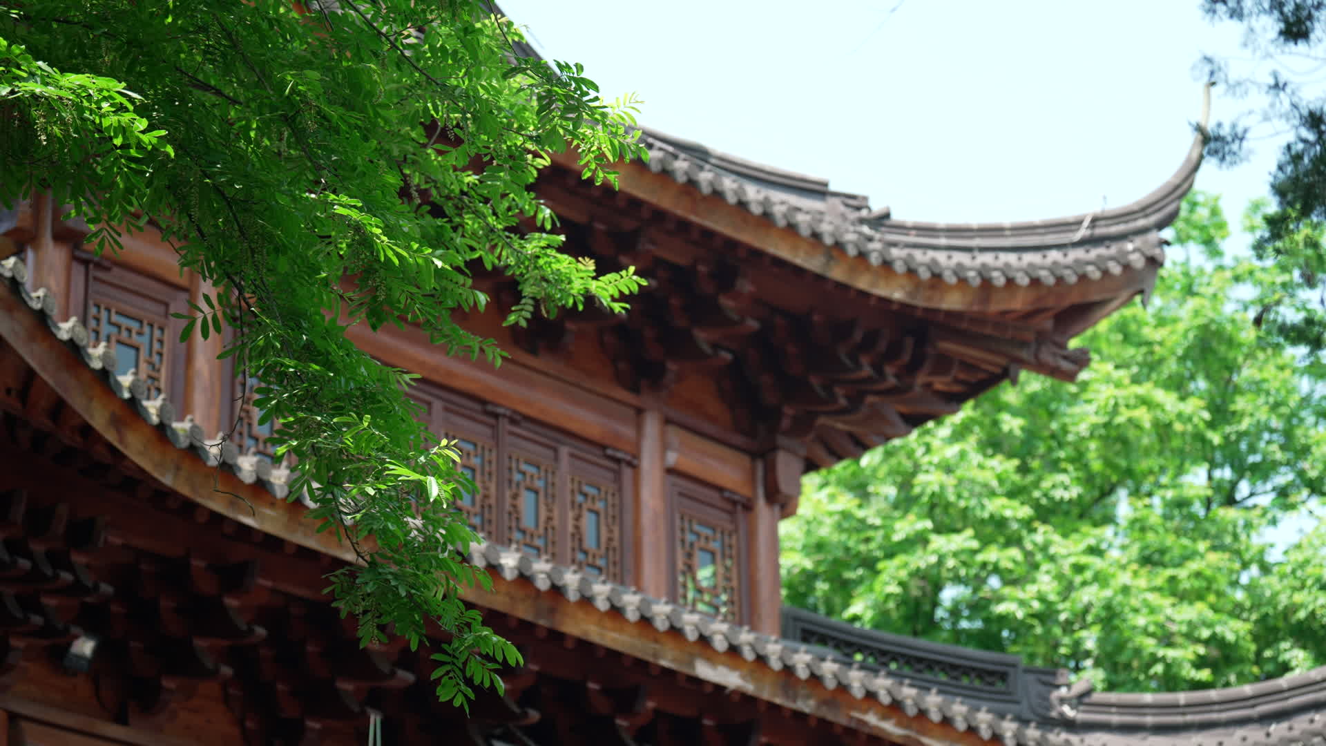 春天杭州寺院古建筑自然唯美视频的预览图