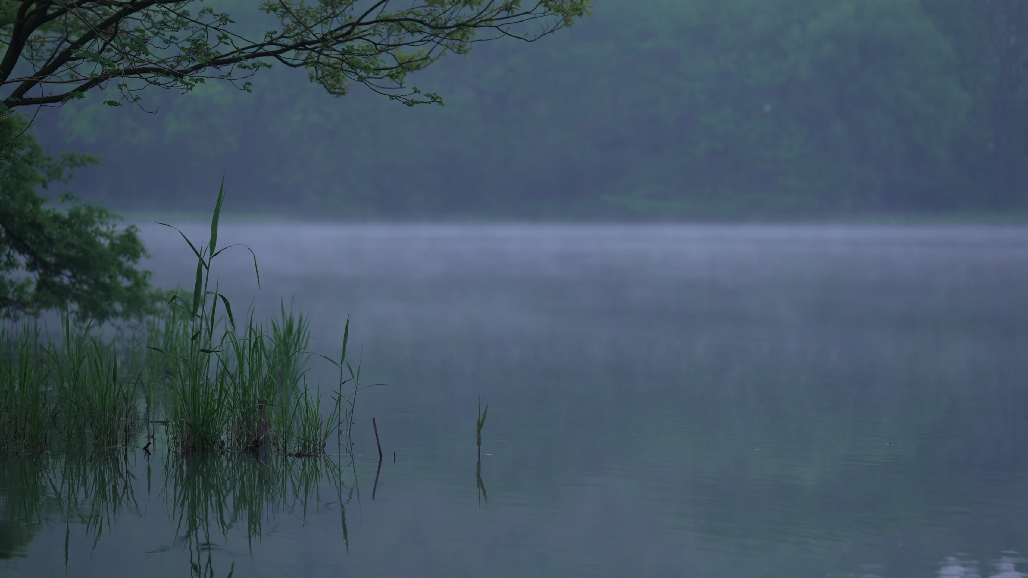清晨杭州西湖水面雾气视频的预览图