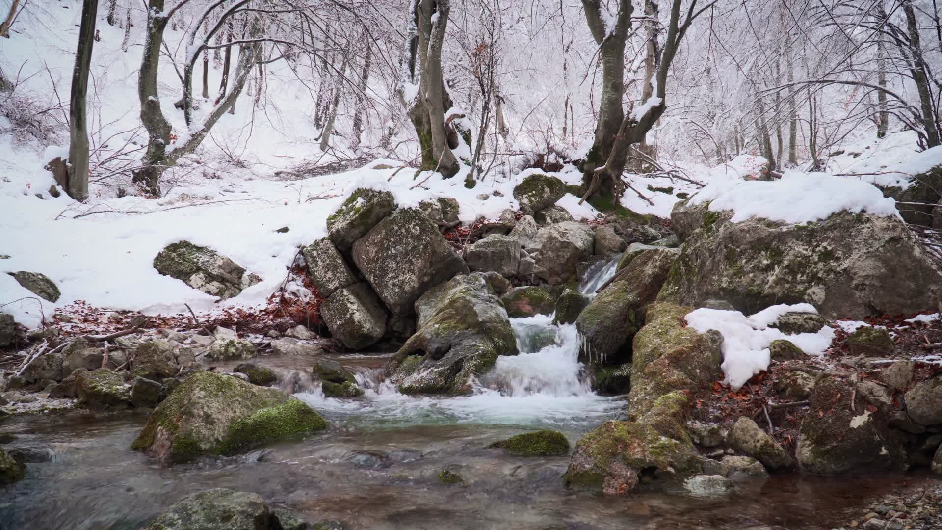 冬季森林溪水流淌积雪枯木视频的预览图