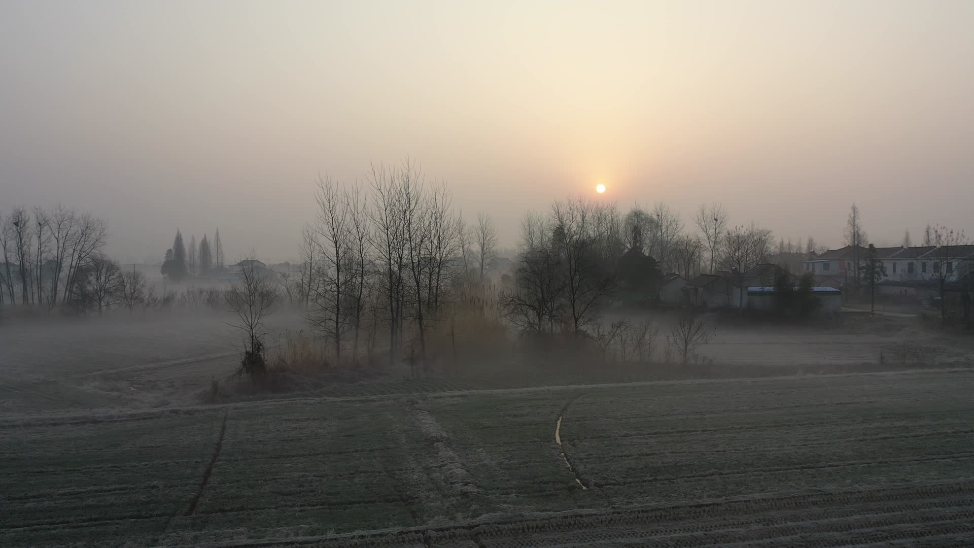 航拍清晨农村日出晨雾视频的预览图
