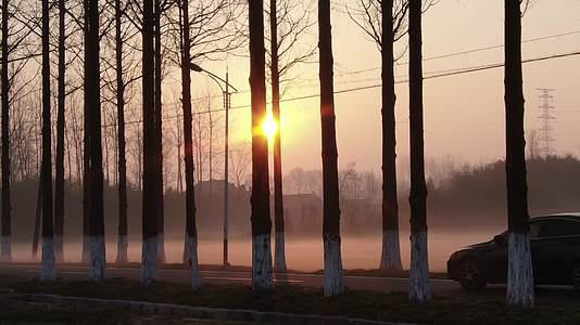 农村小路早晨雾气朝阳航拍视频的预览图