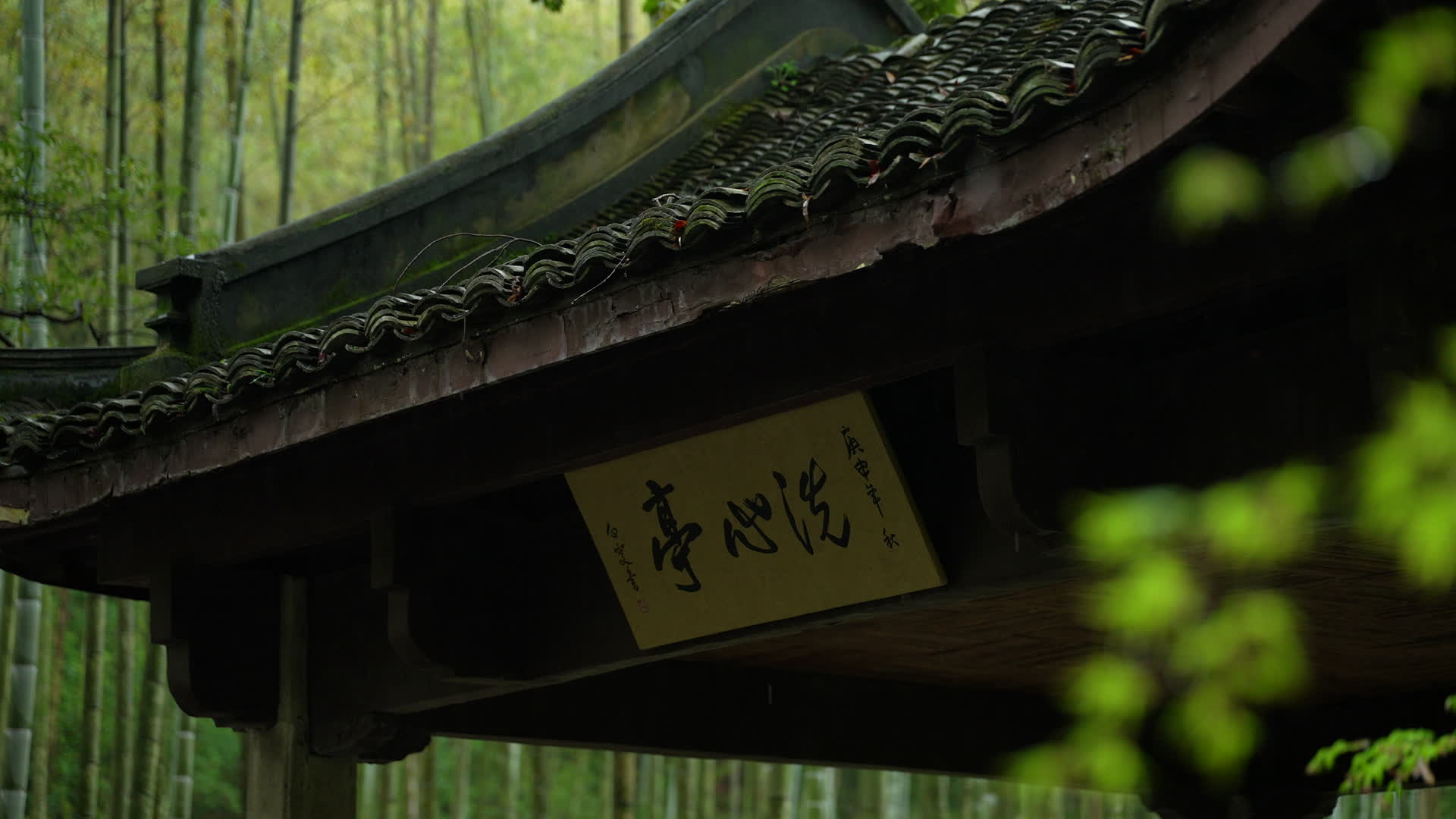 杭州云栖竹径春季清明节雨天古建筑自然唯美视频的预览图