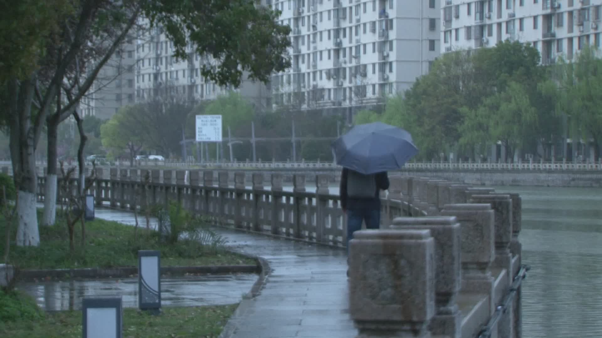春雨夜幕下都市古镇亭台桥边打伞行人视频视频的预览图
