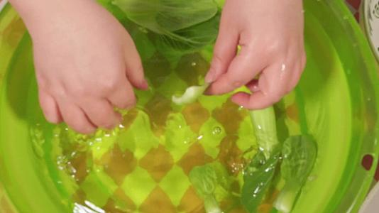 清水清洗小油菜青菜菜心上海青视频的预览图