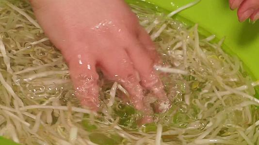 清洗绿豆芽捞出控水视频的预览图