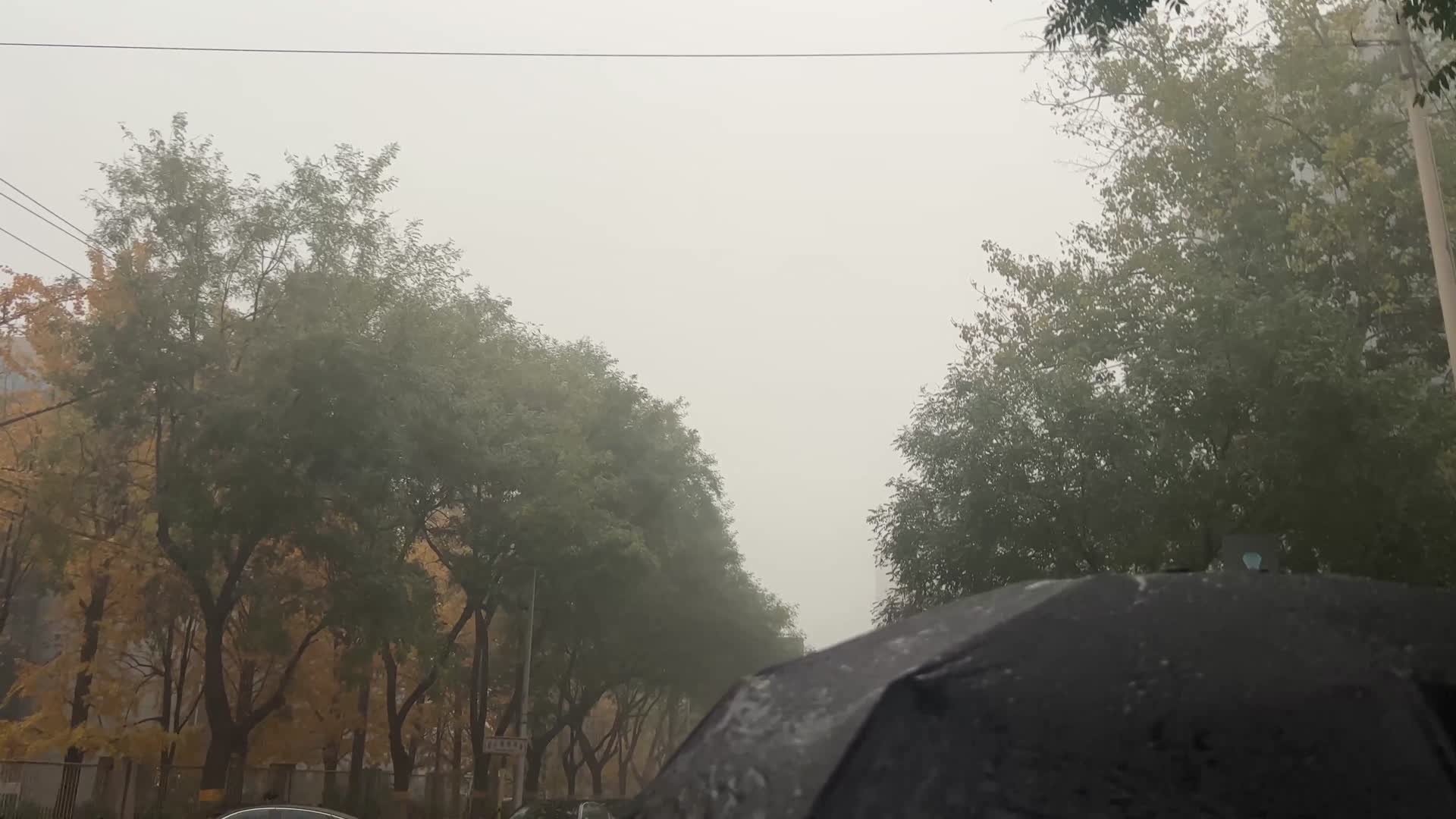 雾霾阴天下雨阴沉天气视频的预览图