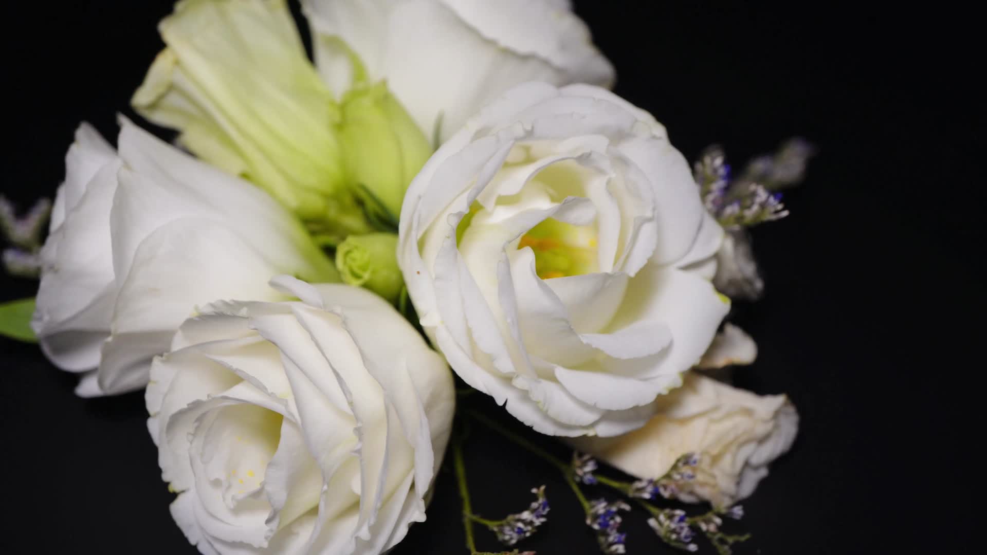 鲜花玫瑰花白玫瑰洋桔梗视频的预览图