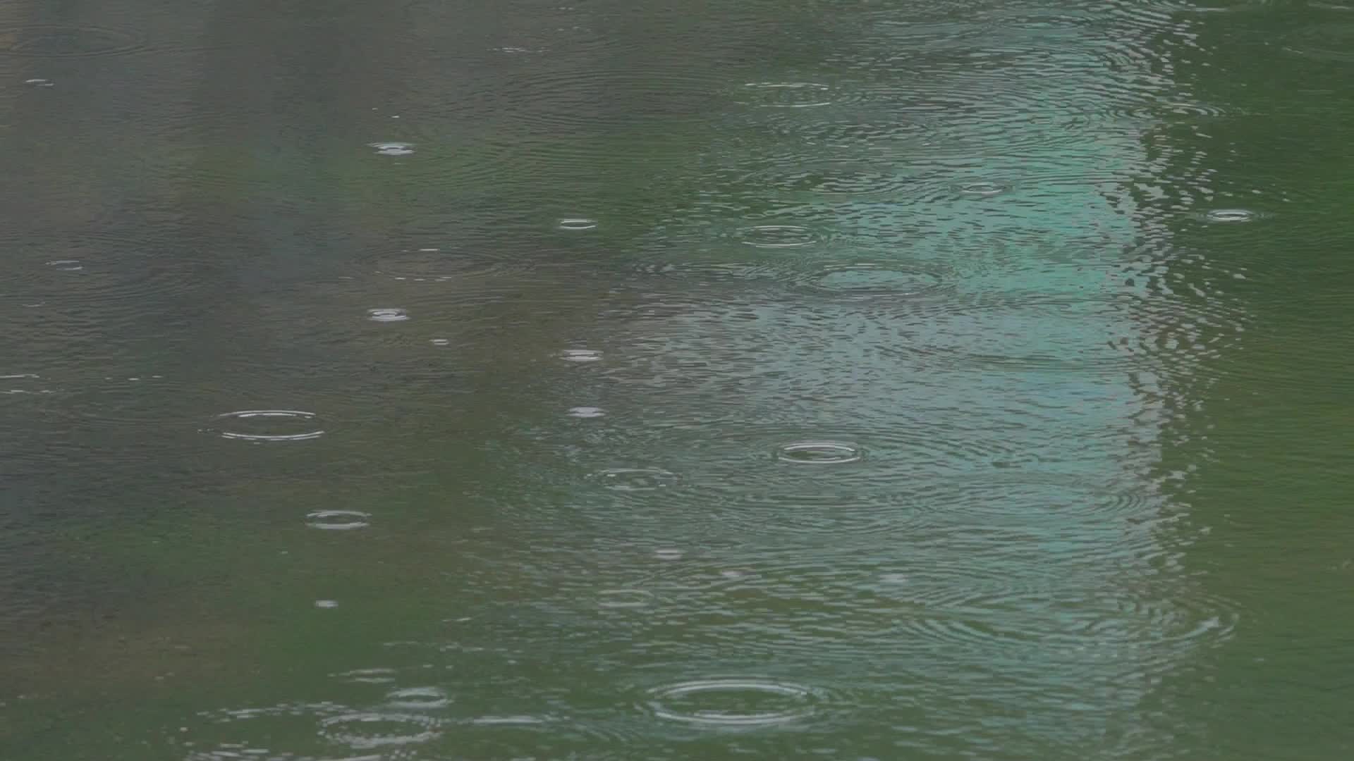 春季春雨滴落湖面掀起水花视频的预览图