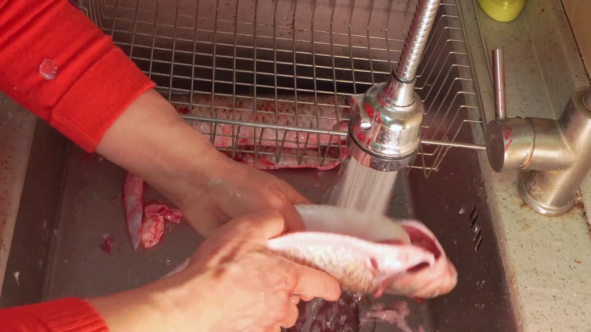 草鱼开膛去内脏杀鱼处理鱼肉视频的预览图
