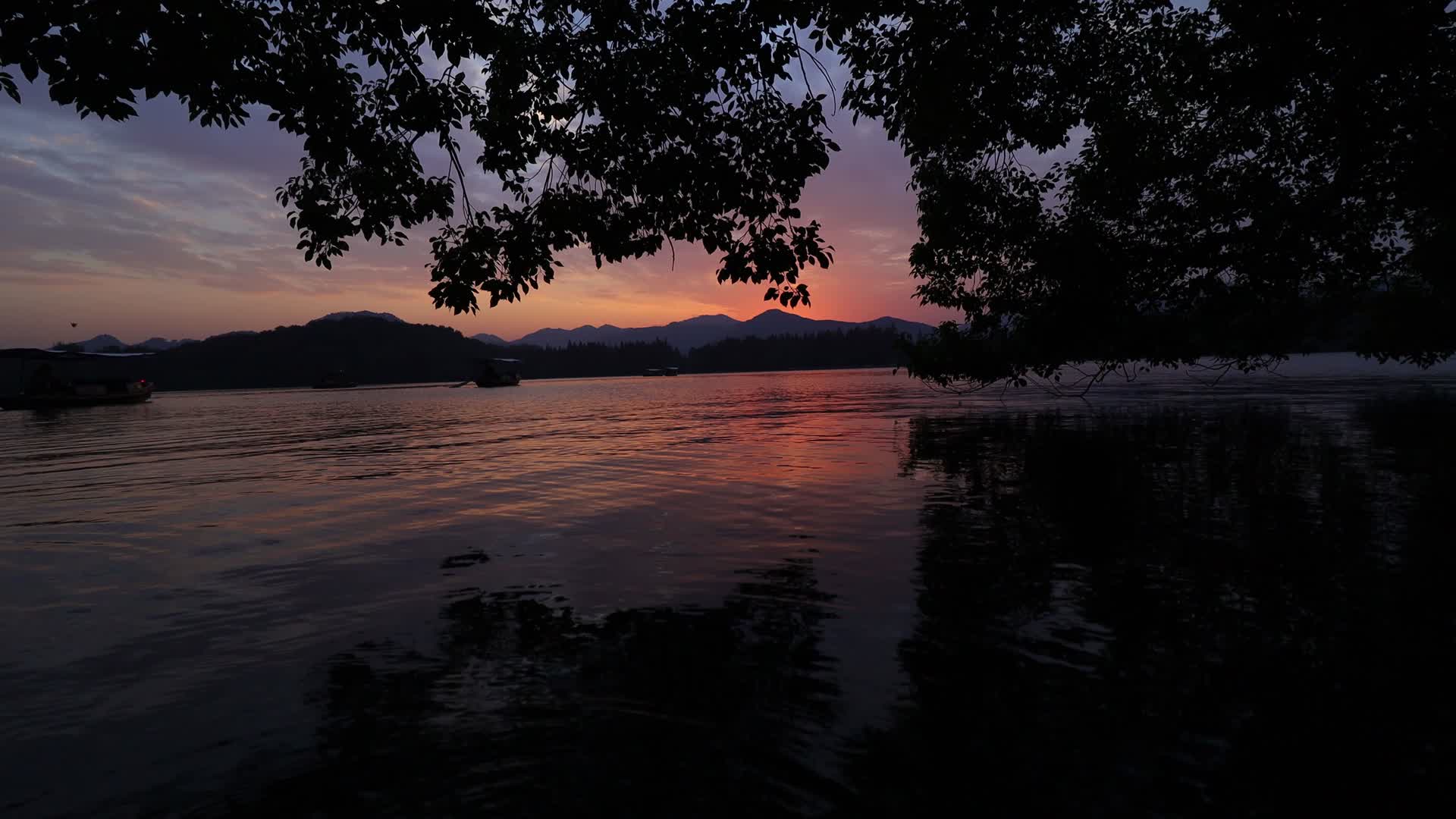 西湖低角度岸边黄昏视频的预览图