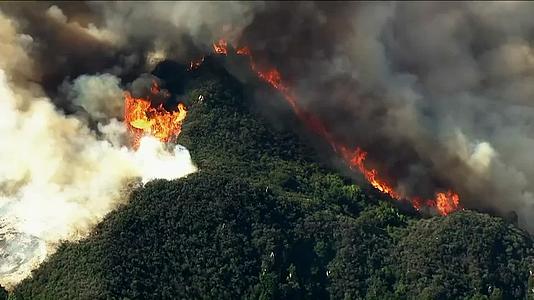 航拍森林火灾山林大火树木燃烧视频视频的预览图