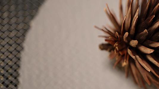 桂花果种子植物干燥标本视频的预览图