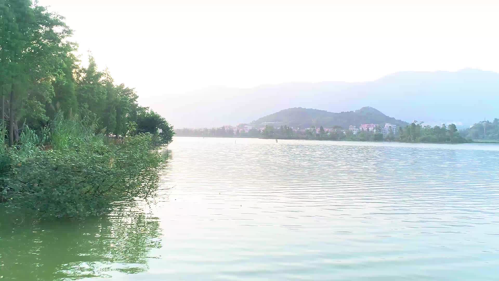 广东肇庆星湖航拍视频的预览图