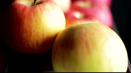 温暖阳光照射植物苹果树开花结果种植果场景色高清视频延时拍摄视频的预览图
