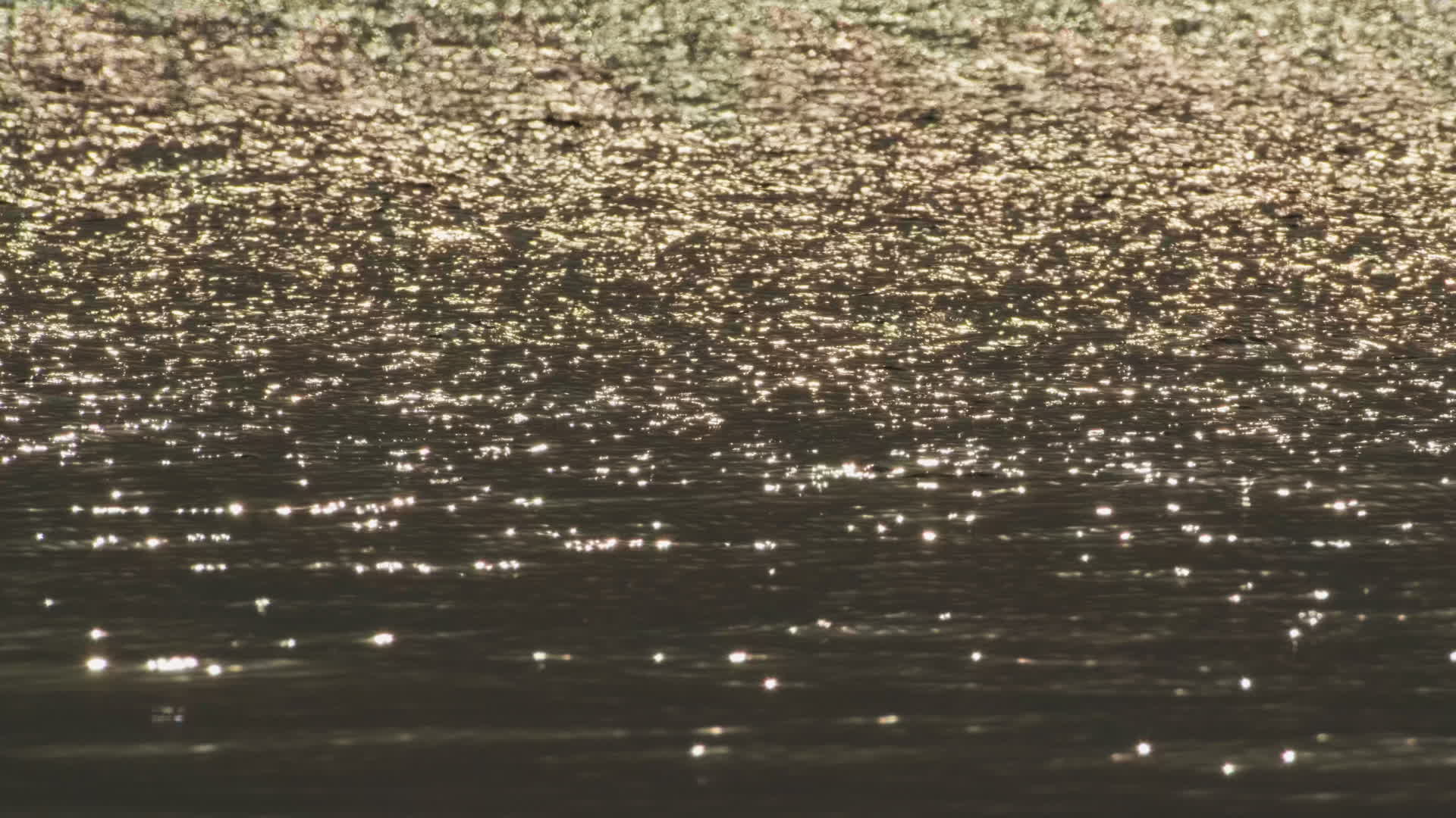 海水湖水江河湖海实拍镜头视频的预览图