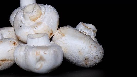 口蘑白蘑菇食用菌视频的预览图