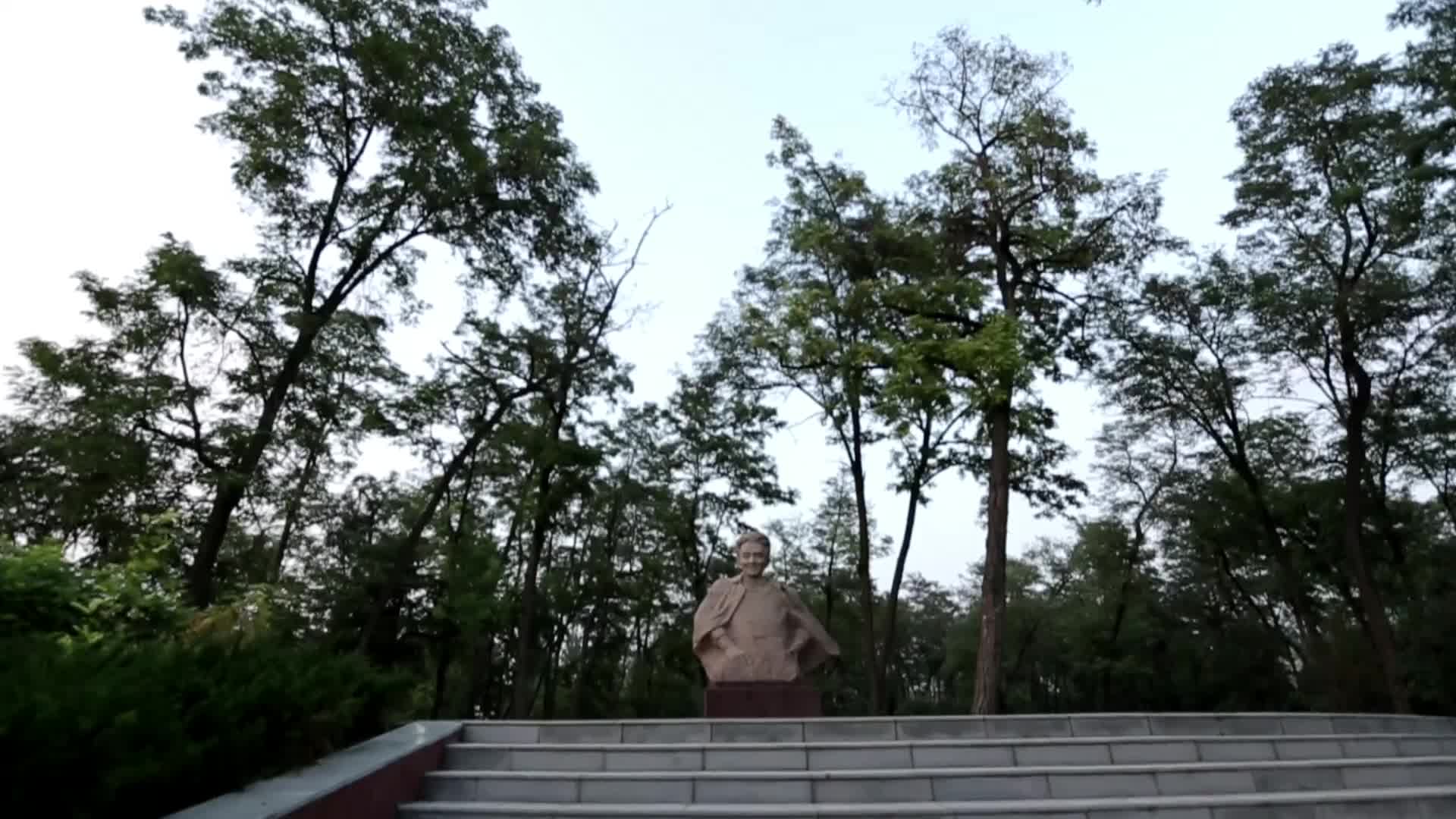 焦裕禄林中雕像视频的预览图