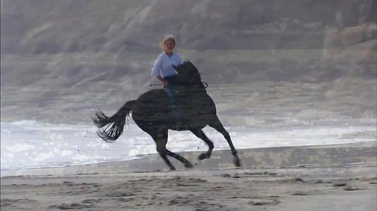 奔跑的马儿骑马奔腾的马群视频的预览图