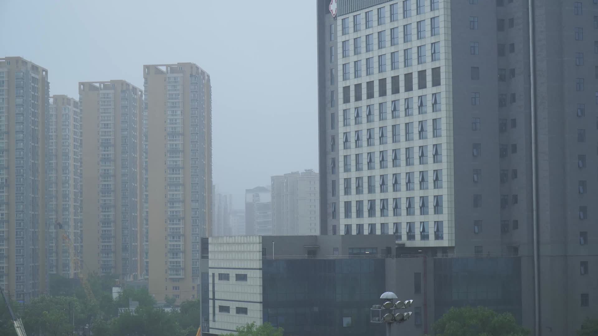 能见度阴天雾气中的城市楼房树木视频的预览图