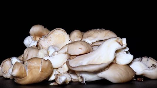 蘑菇平菇秀珍菇食用菌食材视频的预览图