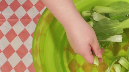 清水清洗小油菜青菜菜心上海青视频的预览图