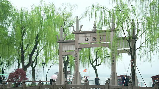 杭州钱王祠春季清明节雨天古建筑自然唯美视频的预览图