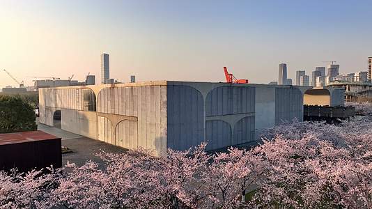 上海龙美术馆樱花盛开上海徐汇滨江樱花航拍视频的预览图