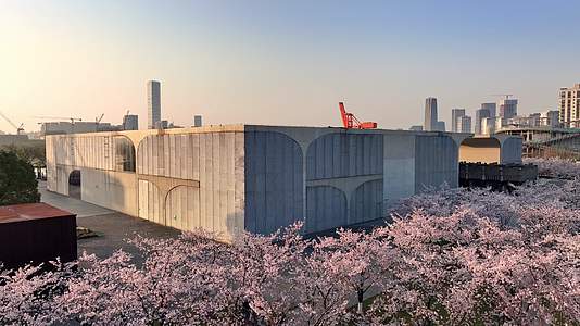 上海龙美术馆樱花盛开上海徐汇滨江樱花航拍视频的预览图