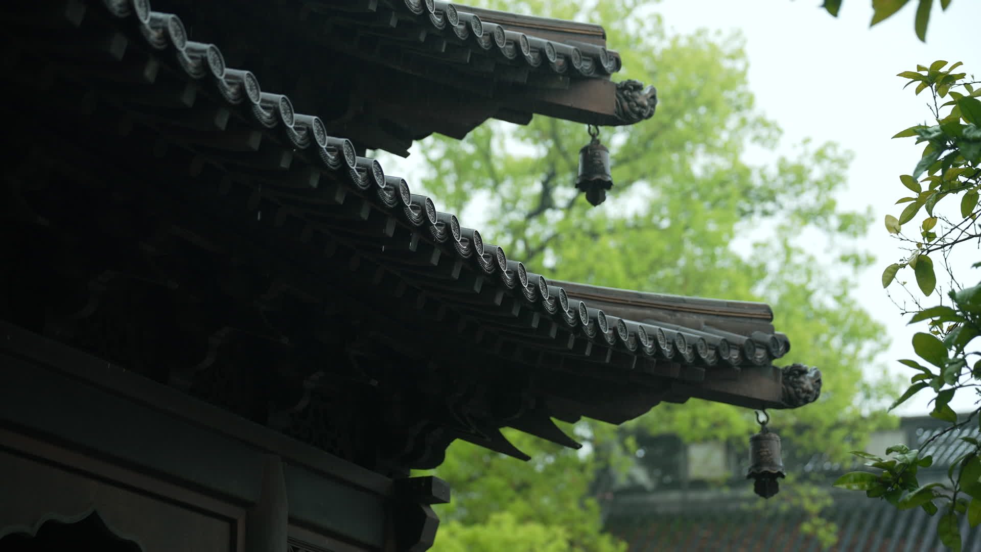 杭州钱王祠春季清明节雨天古建筑自然唯美视频的预览图