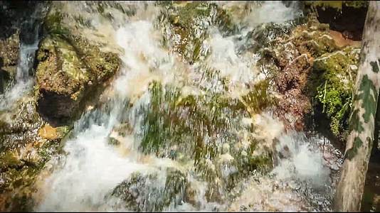 夏日森林溪流瀑布阳光植物视频的预览图