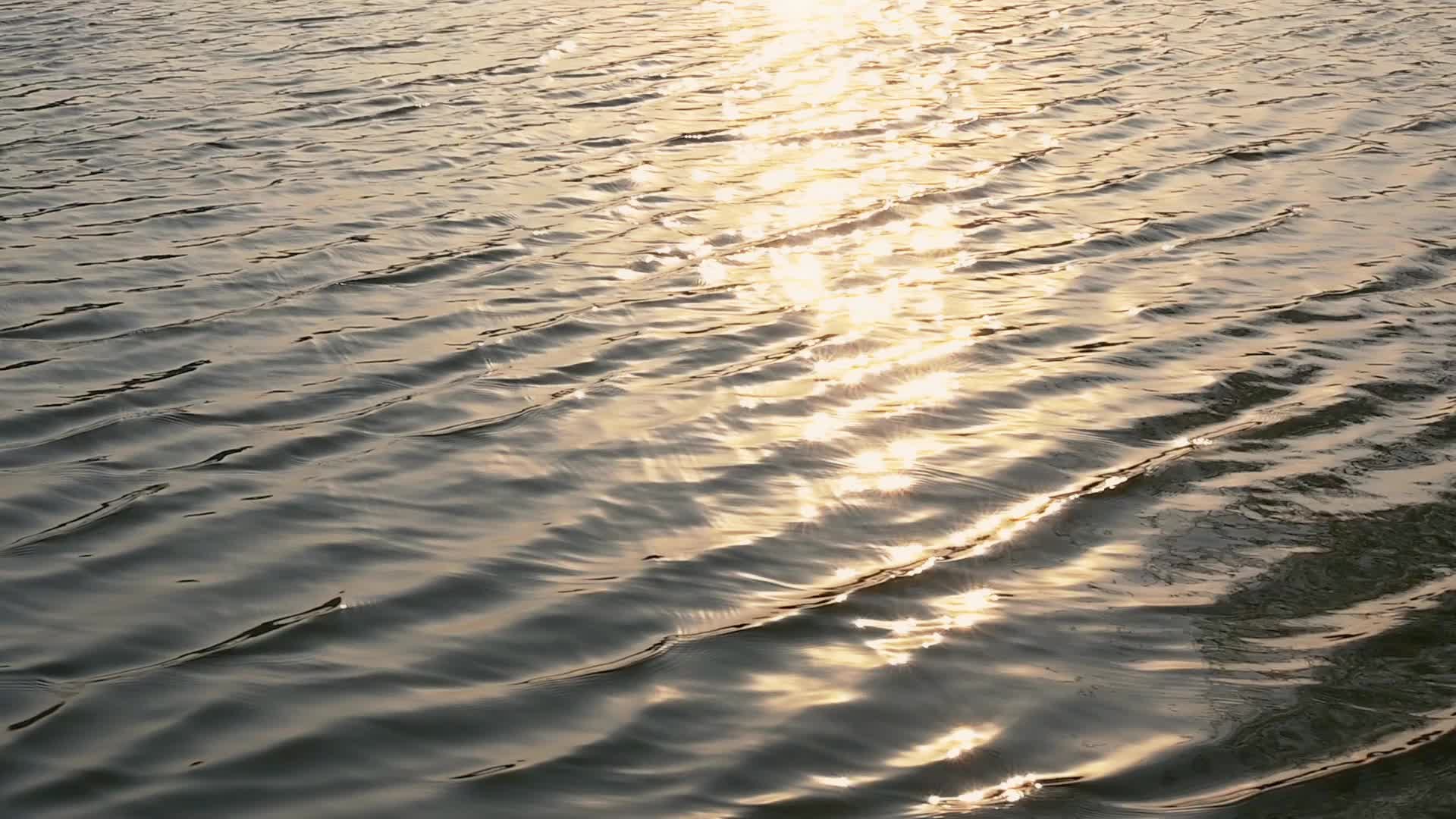 傍晚金色阳光洒在水面上波光粼粼的慢镜头视频的预览图