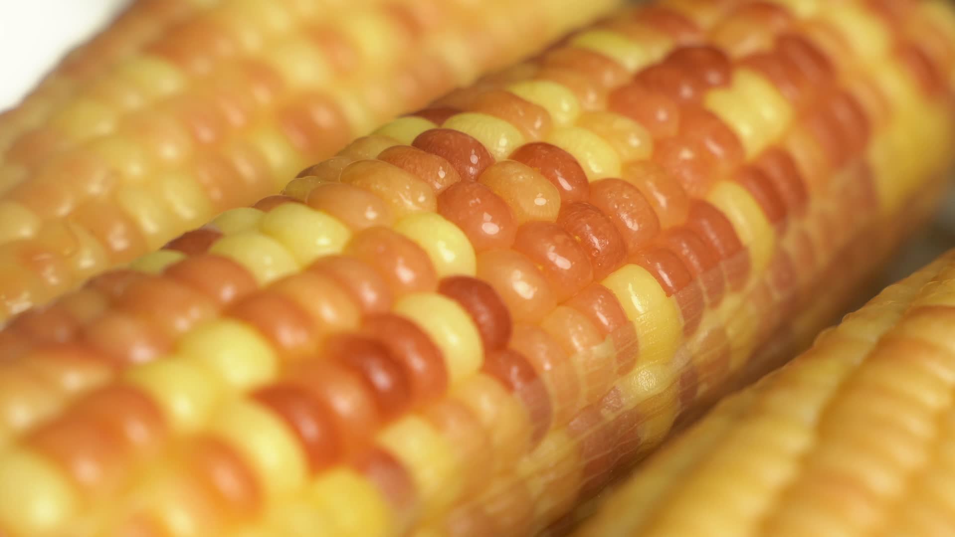健康食物有机玉米4K视频的预览图
