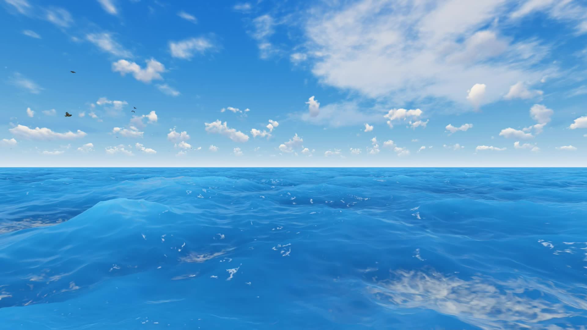 超高清蓝天白云大海飞鸟无缝循环视频的预览图