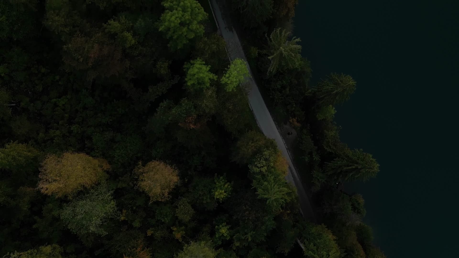 森林公路航拍视频的预览图