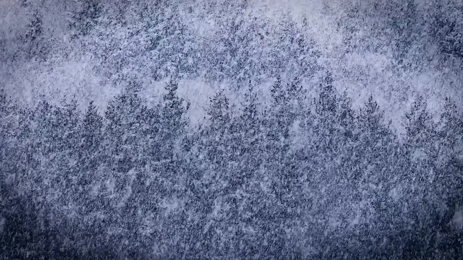 冬季森林鹅毛大雪视频的预览图
