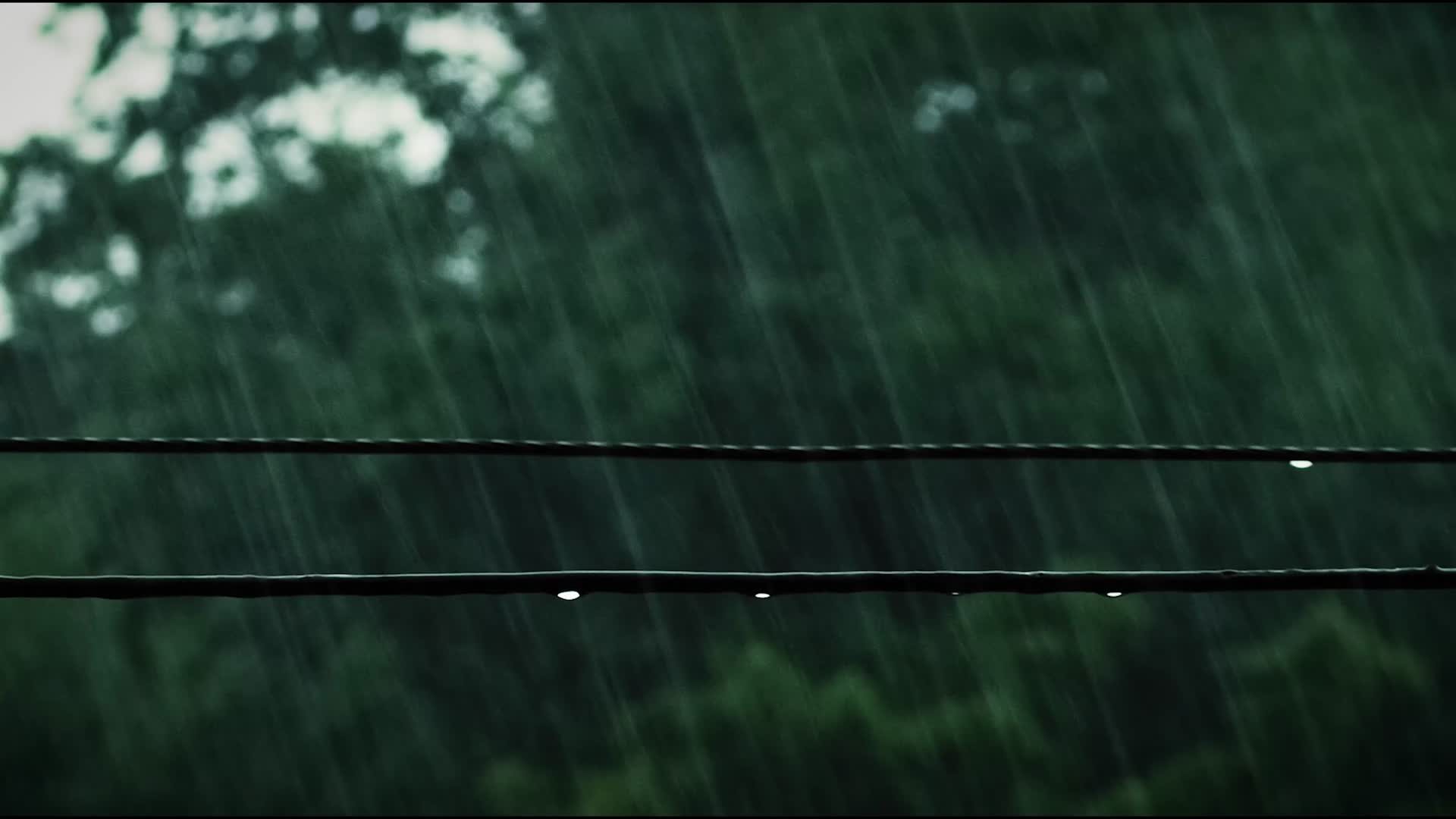 夏季大雨电线水滴视频的预览图