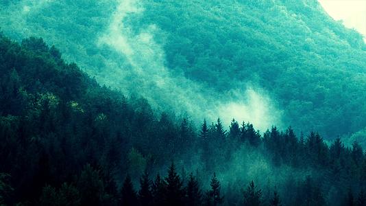 18夏季森林云雾缭绕视频的预览图