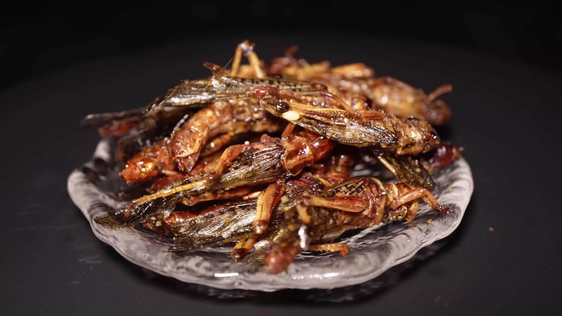 油炸蚂蚱蟋蟀食用昆虫视频的预览图