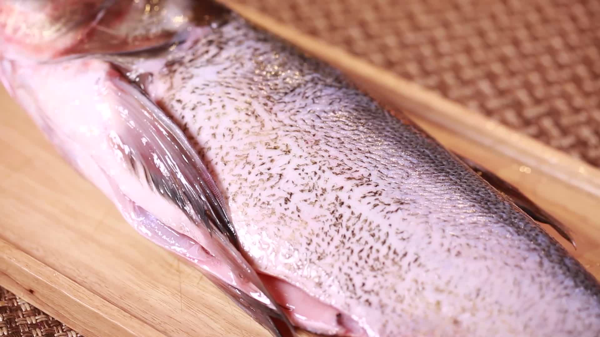 整条胖头鱼视频的预览图