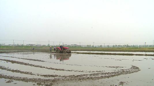 农民春耕生产实拍高清视频视频的预览图