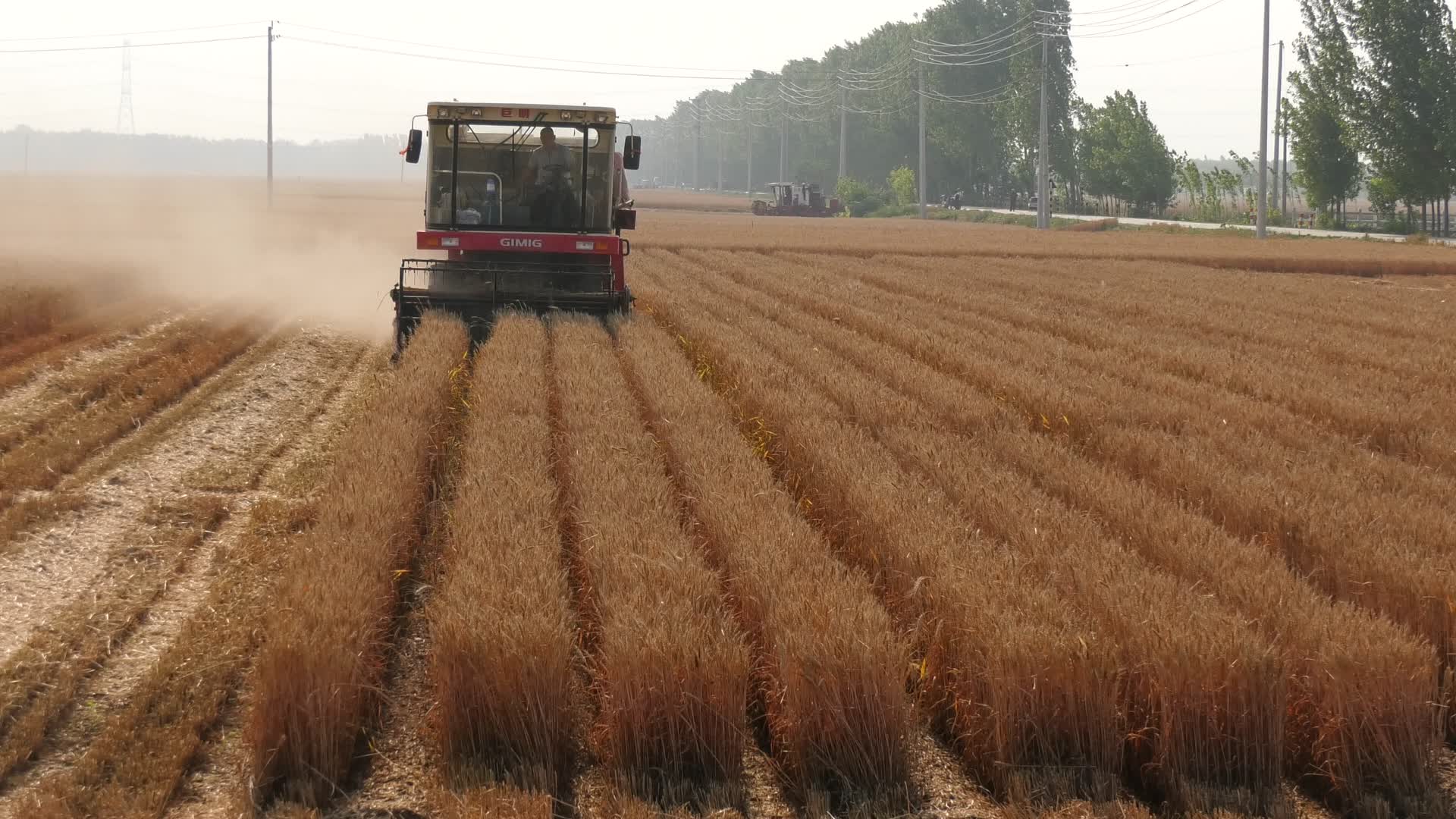 4K实拍收割小麦系列视频的预览图