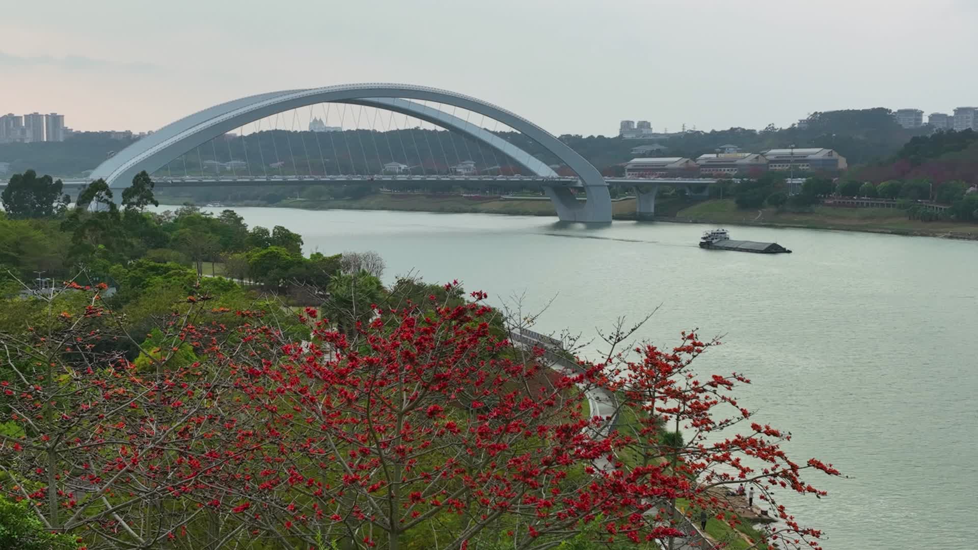 4K南宁大桥视频的预览图