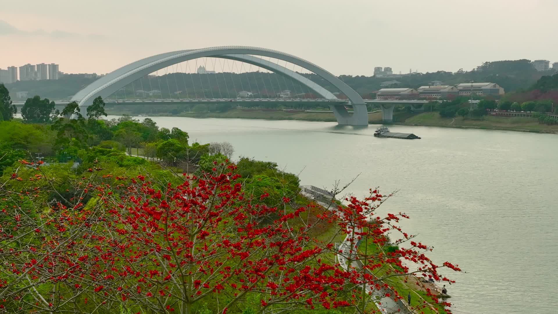 南宁邕江运输船视频的预览图