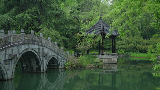 春天杭州花港观鱼阴雨天小桥绿色自然视频的预览图