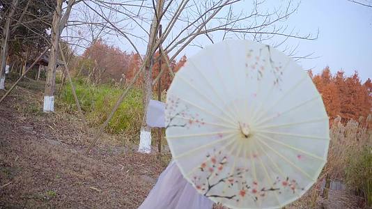 古装舞蹈汉服妹妹美女姐姐湿地公园剧情短片视频的预览图