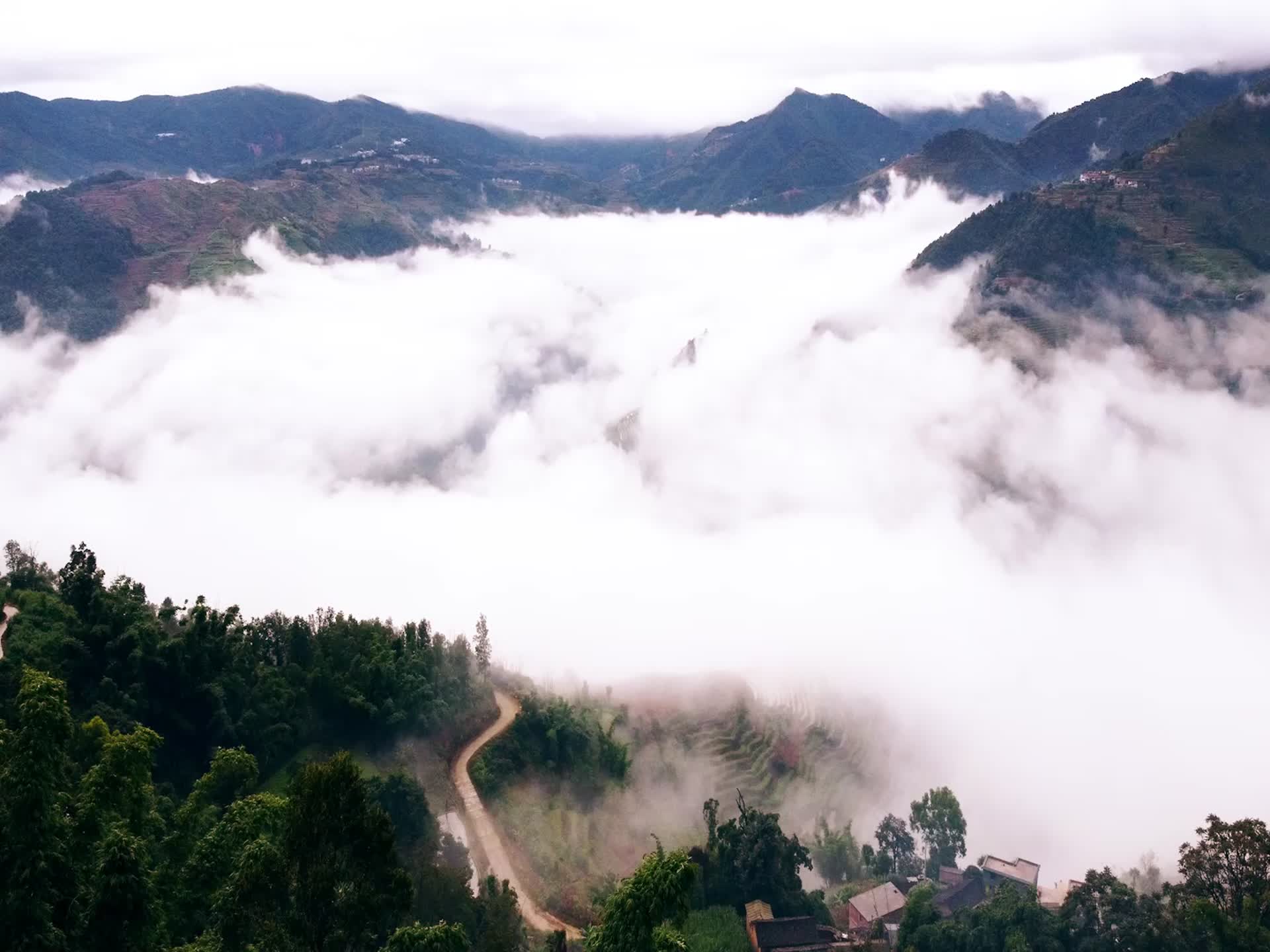 哈尼云海大山梯田秘境大气视频的预览图