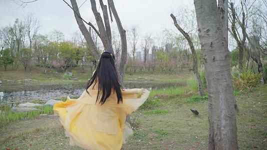 梨花小黄衣服特写人像小姐姐舞蹈汉服漂亮视频的预览图